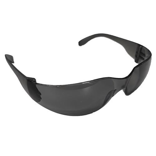 DENTEC CeeTec™2 Gray Coated Lens Safety Glasses CSA/ANSI Certified 12E93132